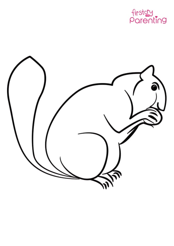 Easy printable squirrel coloring pages for kids