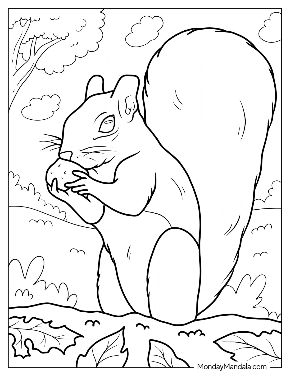 Squirrel coloring pages free pdf printables