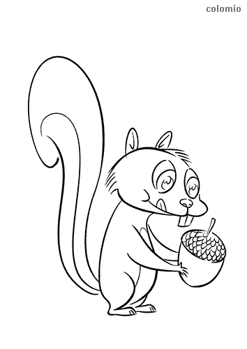 Squirrels coloring pages free printable squirrel coloring sheets