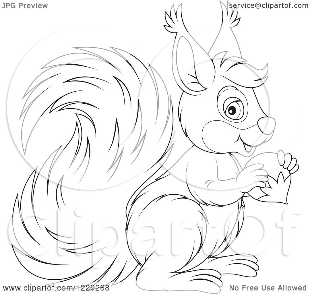 Clipart of an outlined cute squirrel eating an acorn