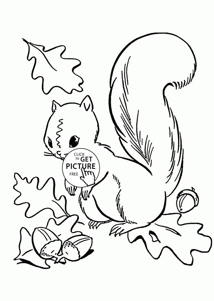 Fall leaves and cute squirrel coloring pages for kids autumn printables free