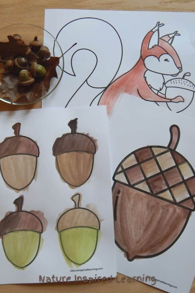 Acorn coloring pages perfect for autumn