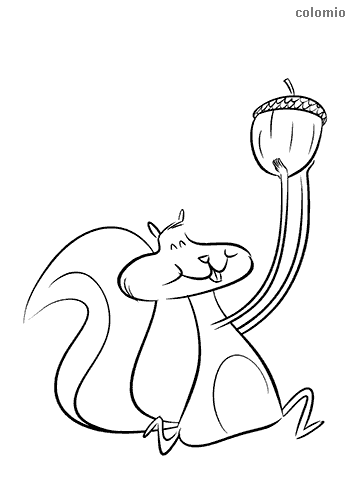 Squirrels coloring pages free printable squirrel coloring sheets