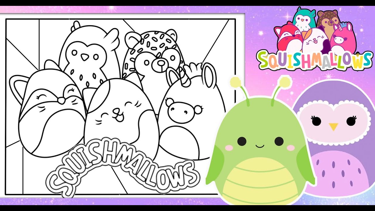 Cute squishallow coloring page squishy anial collection squishallows coloring book