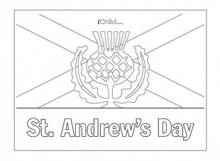 St andrews day poster