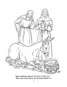 The legend of st anthony the fishes and the mule