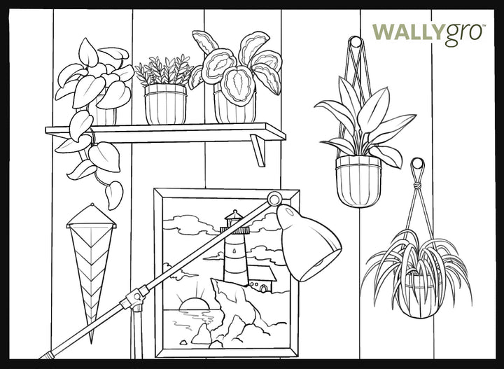 Activity relaxing coloring book pages loop â