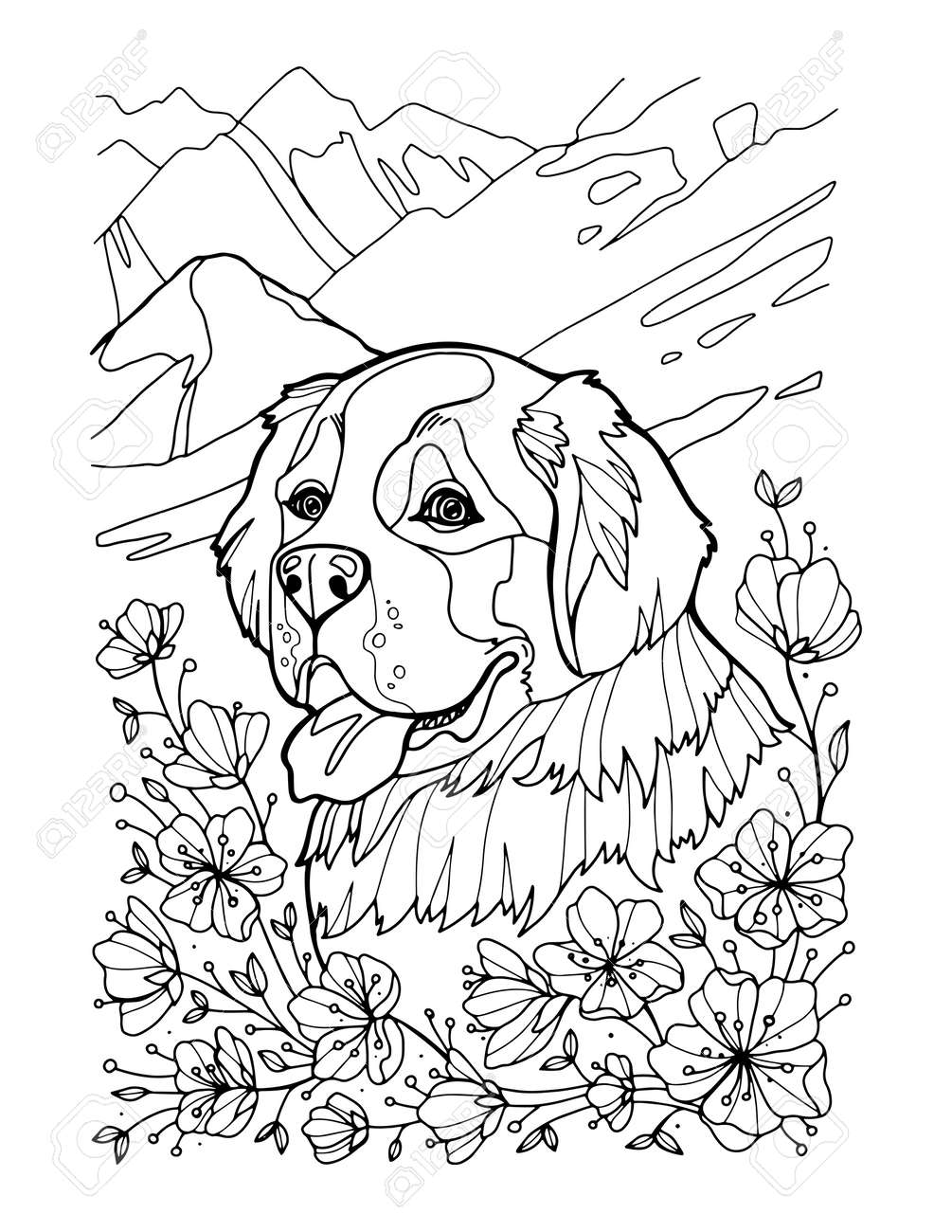 St bernard portrait in mountains coloring page vector illustration hand draw isolated on white background royalty free svg cliparts vectors and stock illustration image