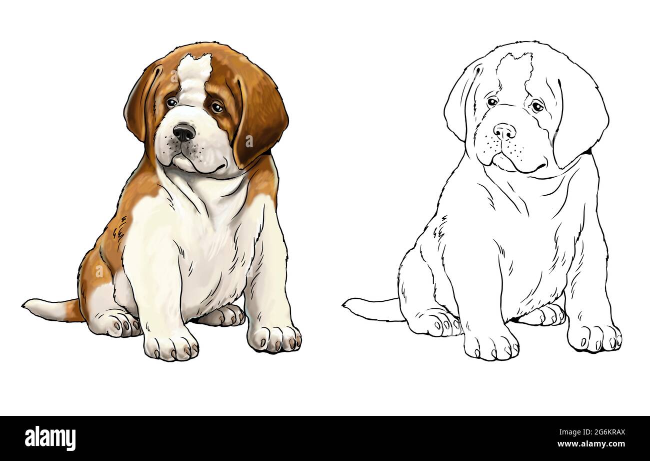 Saint bernard coloring book cute dogs puppy coloring template digital illustration stock photo