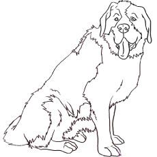 Top free printable dog coloring pages online st bernard dogs dog coloring page saint bernard