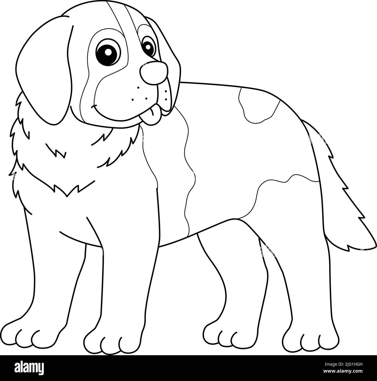 Saint bernard dog isolated coloring page for kids stock vector image art