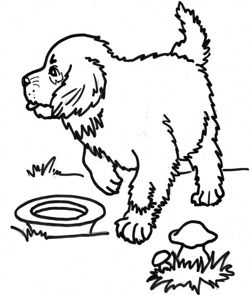 St bernard coloring pages