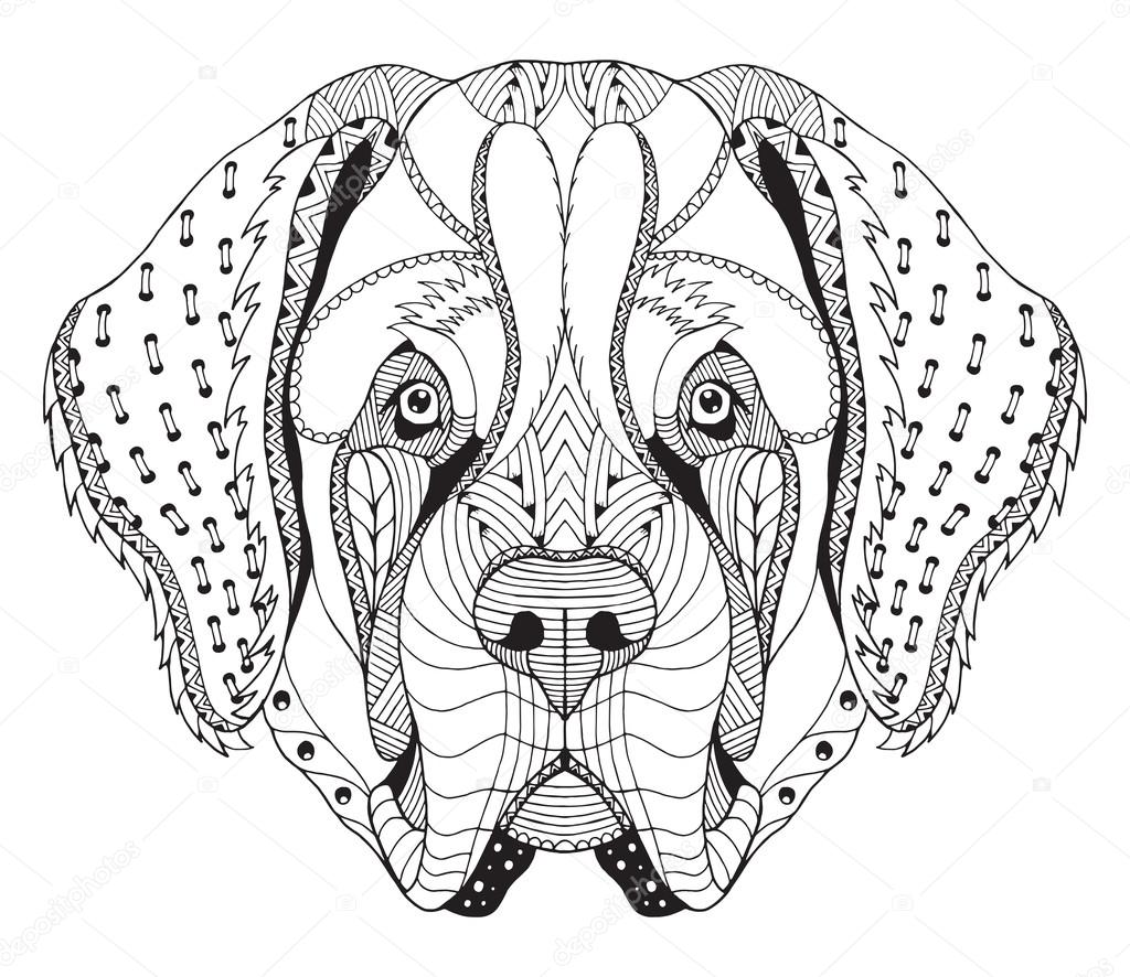 Saint bernard dog zentangle stylized head freehand pencil hand drawn pattern zen art ornate vector coloring book stock vector by romanroki