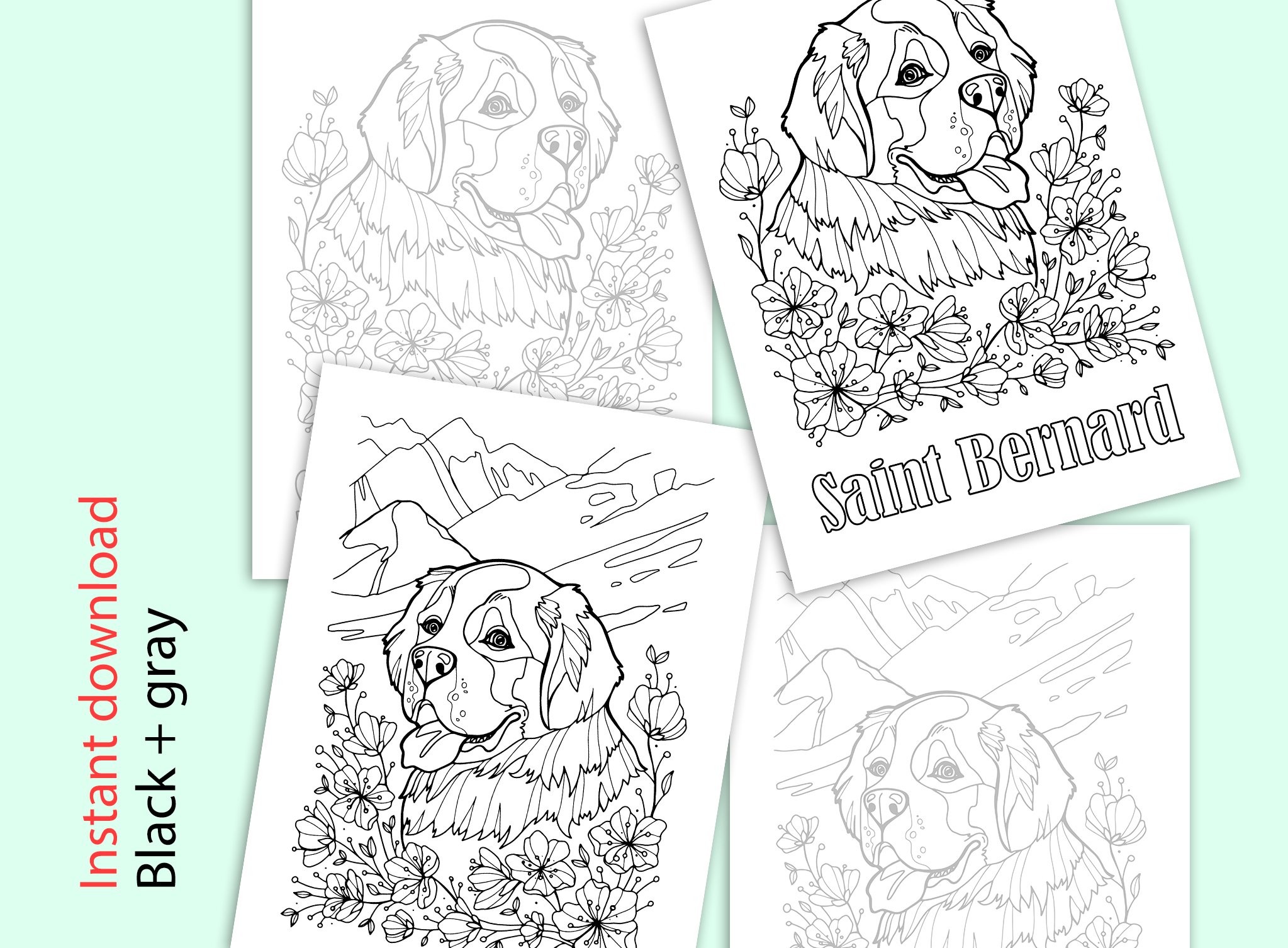 Saint bernard coloring page