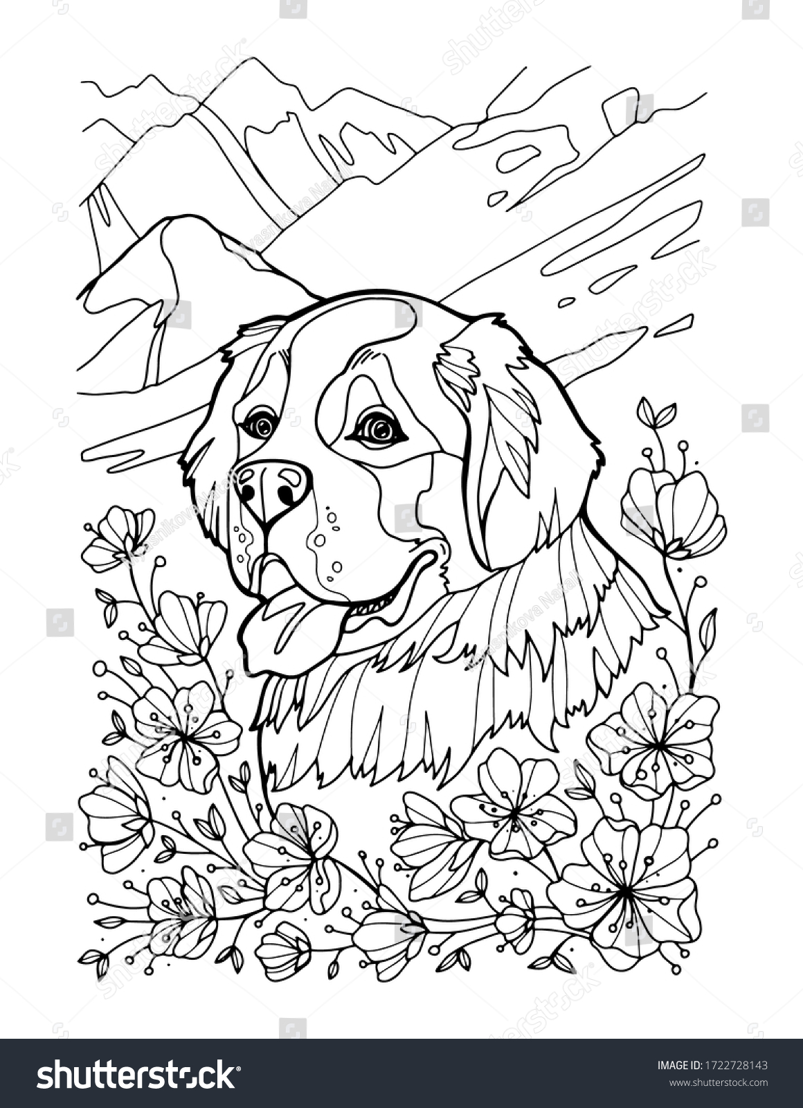 St bernard portrait mountains coloring page stock vector royalty free