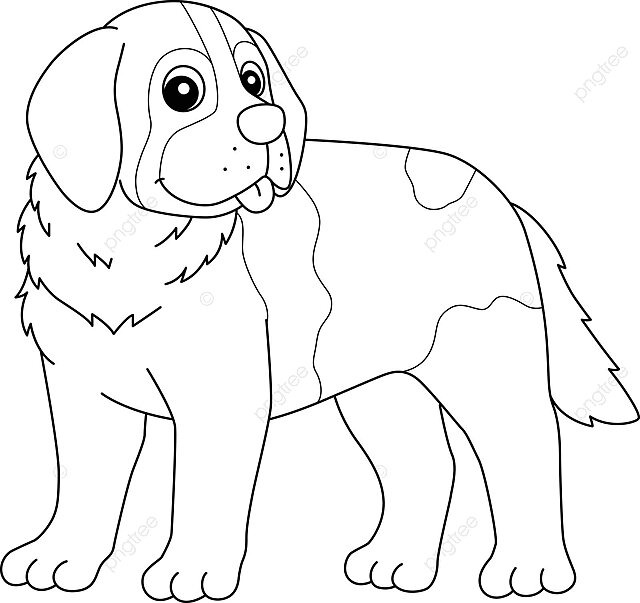 Isolated coloring page of a saint bernard dog for kids vector friendly dog colouring book png and vector with transparent background for free download