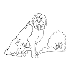 Top free printable dog coloring pages online