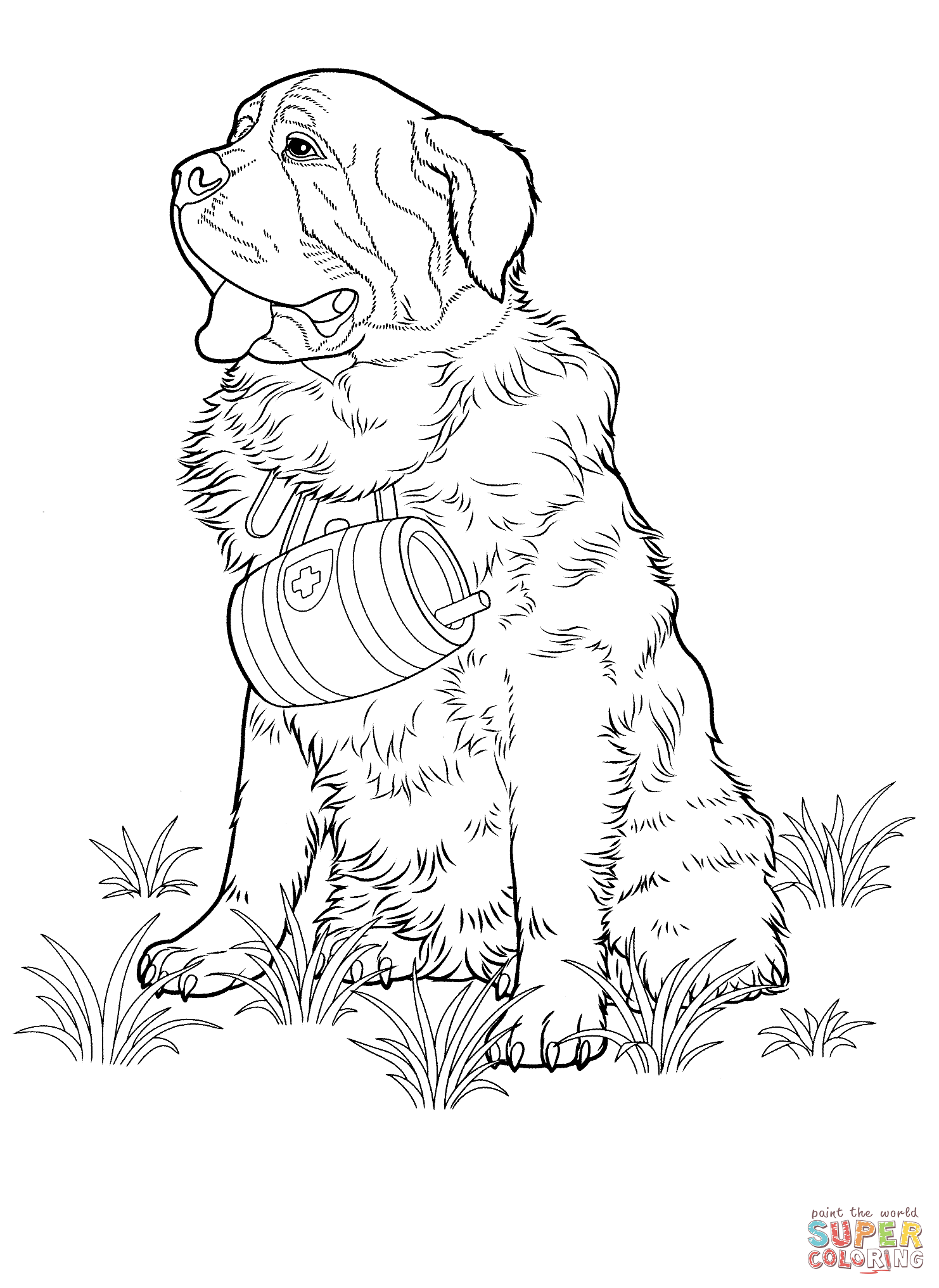 St bernard dog coloring page free printable coloring pages