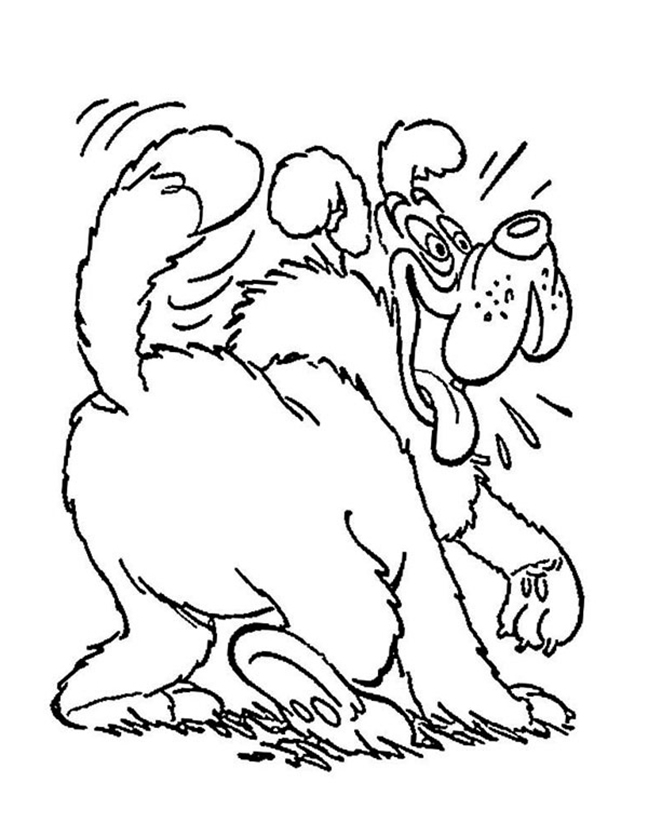 St bernard coloring pages