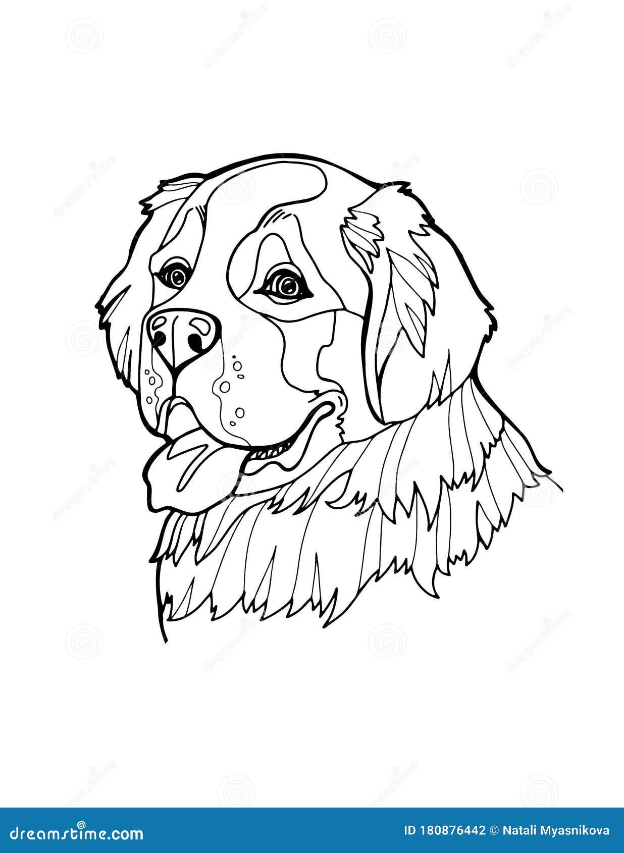 St bernard portrait coloring page for adults and children vector illustration isolated on white background stock vector