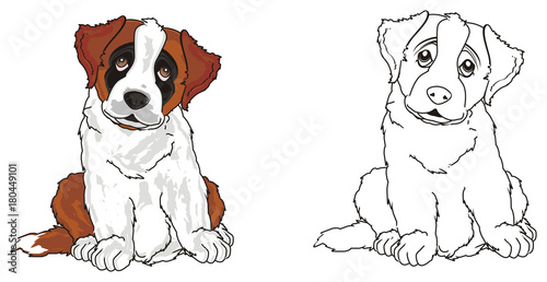 St bernard saint bernard dog puppy friend pet animal illustration cartoon two different coloring not colored paint illustration