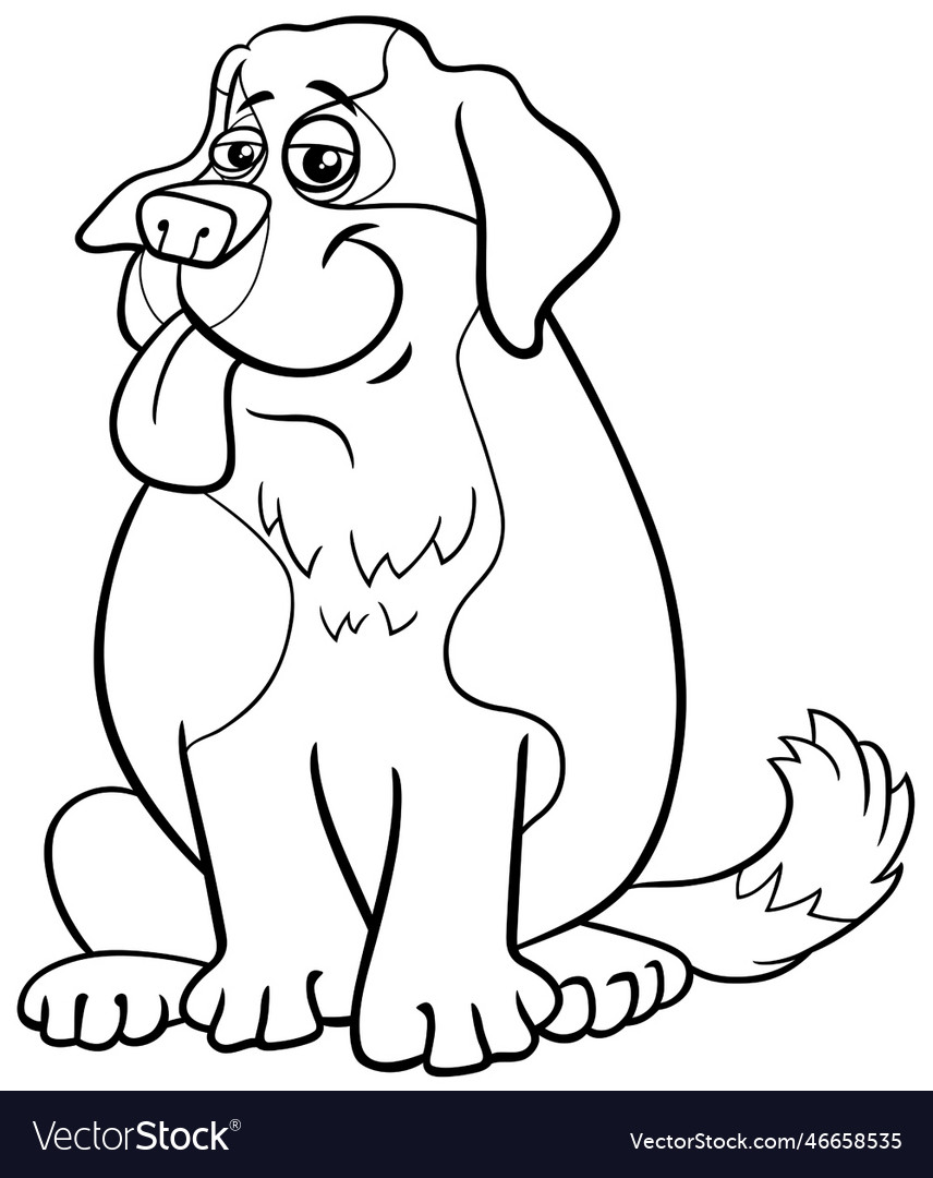 Cartoon saint bernard purebred dog character vector image