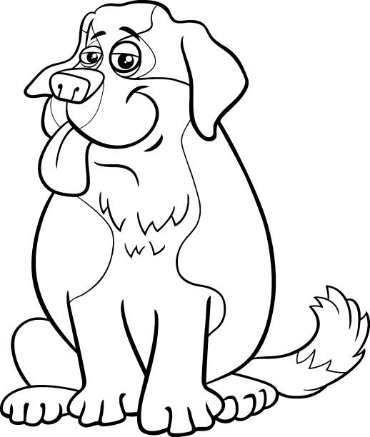 White st bernard drawings stock illustrations royalty