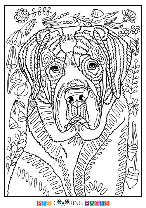 Free printable saint bernard coloring page available for download simple and detailed versions for adults aâ dog coloring book dog coloring page coloring pages