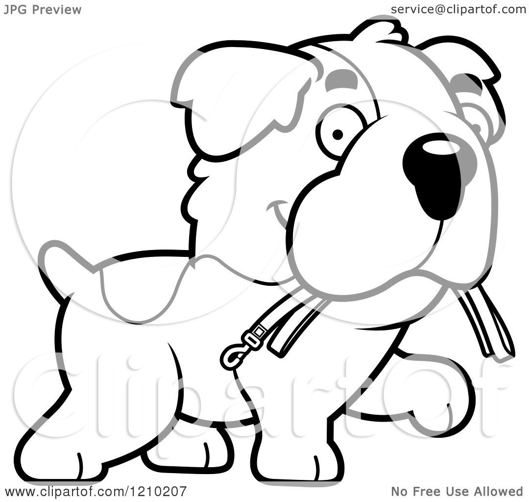 Cartoon of a black and white st bernard dog carrying a leash in his mouth