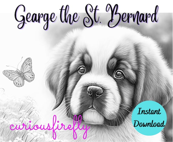 Coloring page for adults george the st bernard puppy grayscale coloring page instant download curious firefly design jpeg pdf