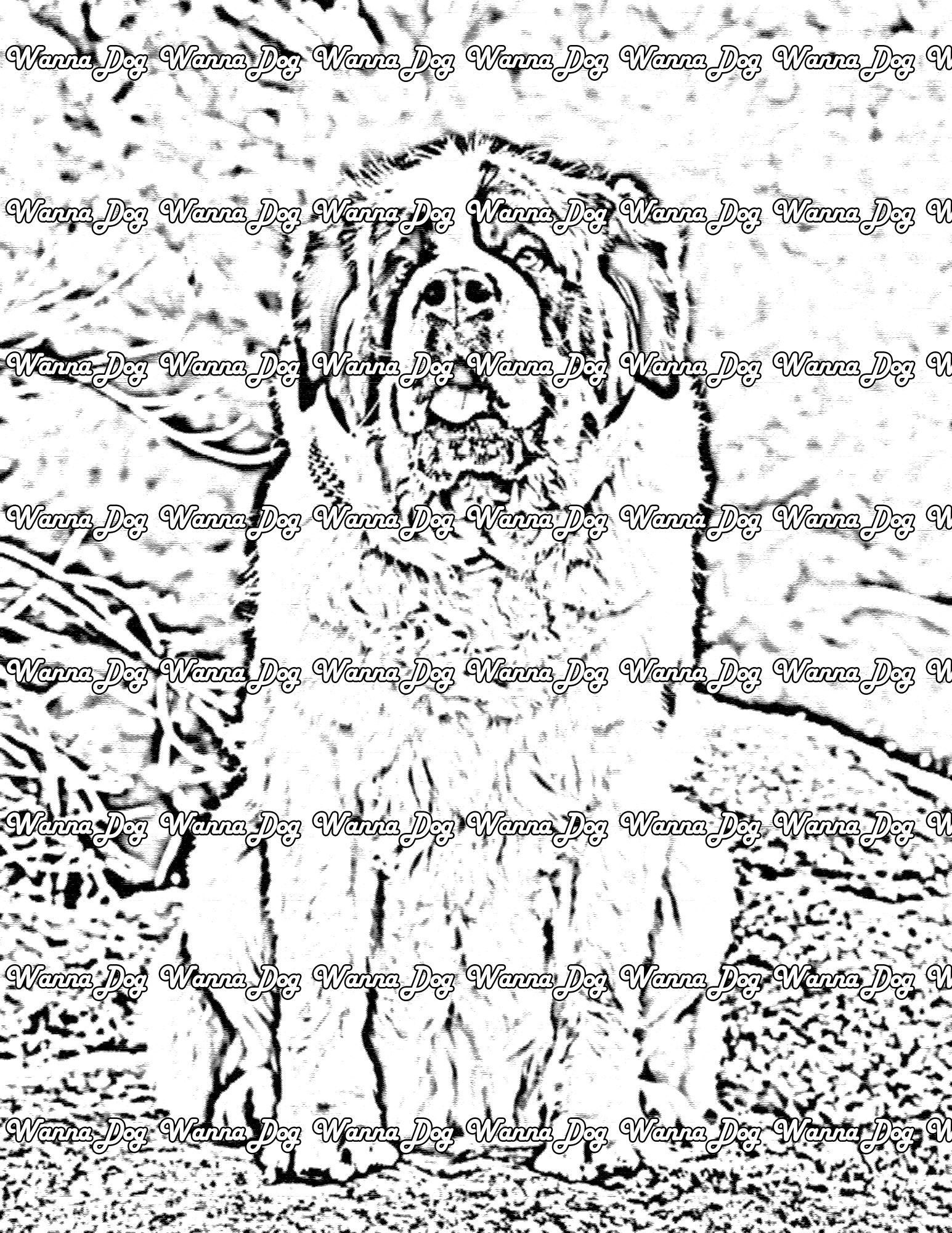 Saint bernard coloring pages â wanna dog