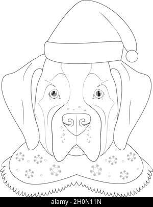 Saint bernard dog isolated coloring page for kids stock vector image art