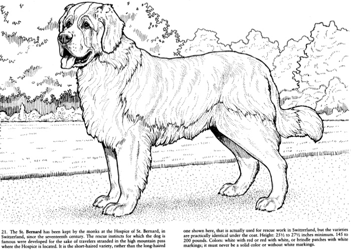 Best coloring books for dog lovers