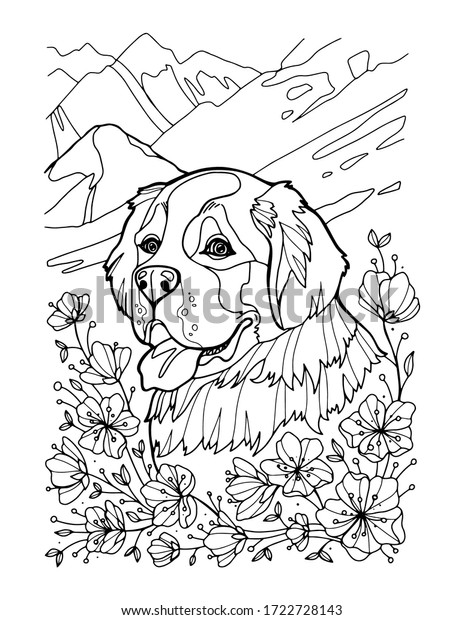 St bernard portrait mountains coloring page stock vector royalty free