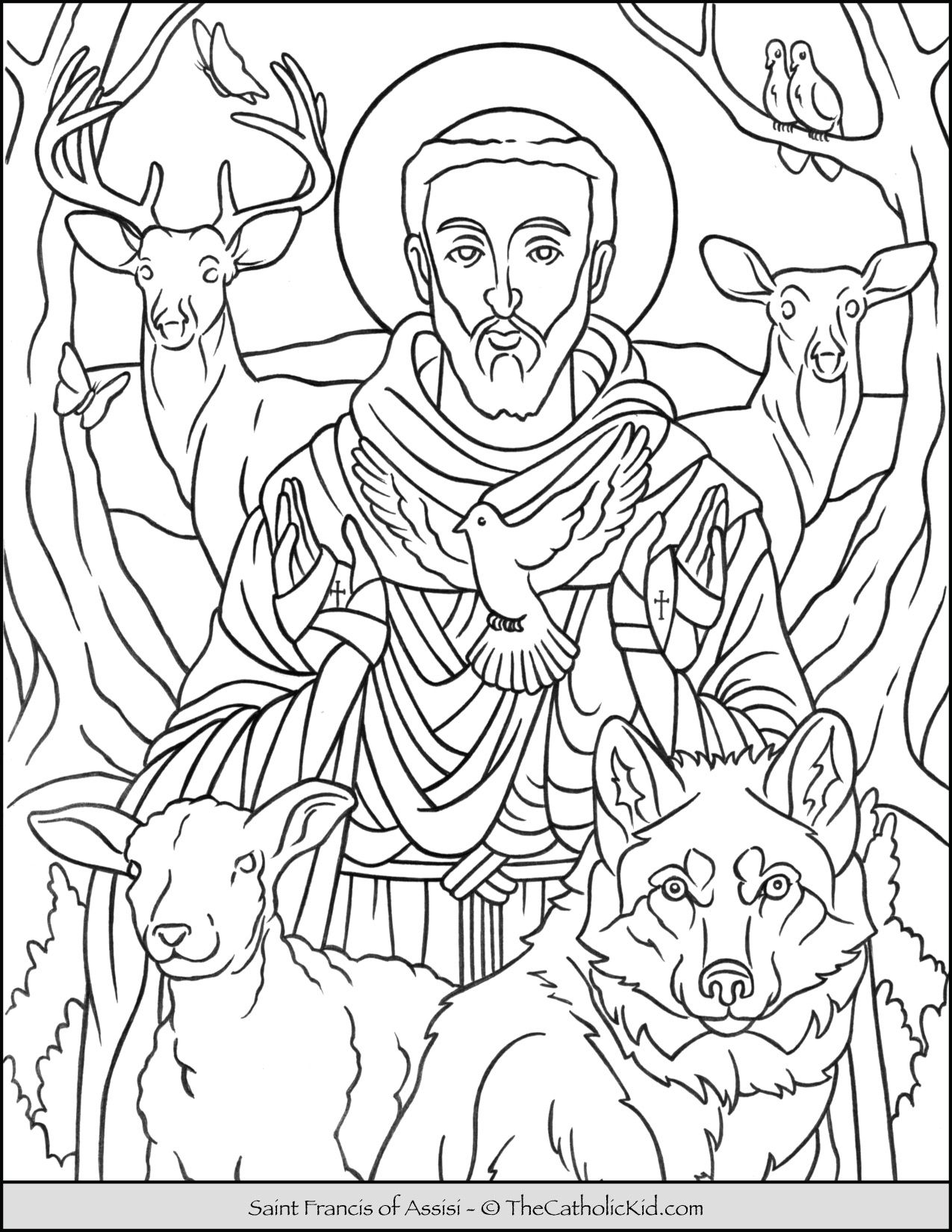 Saint francis of assisi catholic coloring page