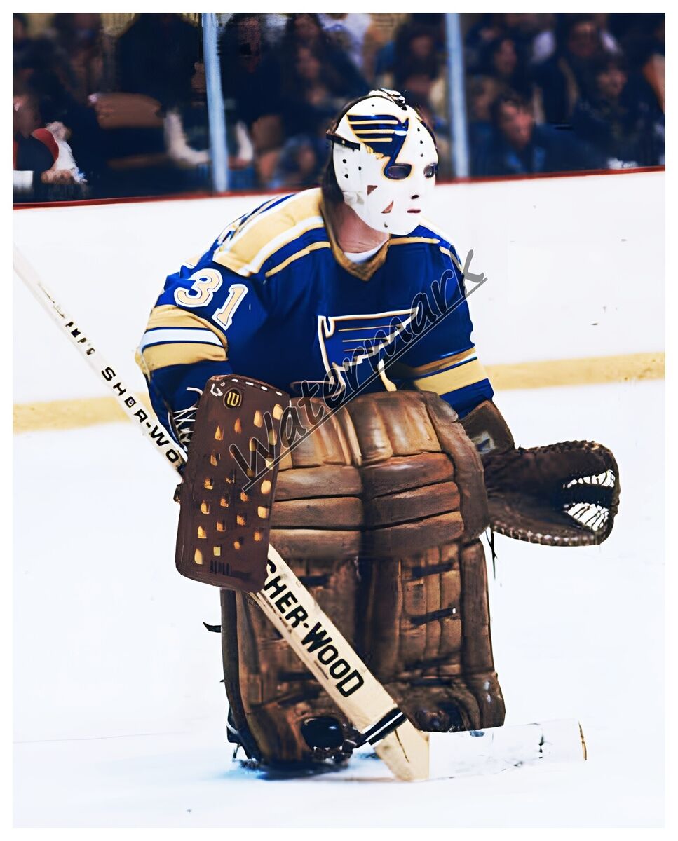 Nhl goalie ed staniowski st louis blues game action color x photo picture