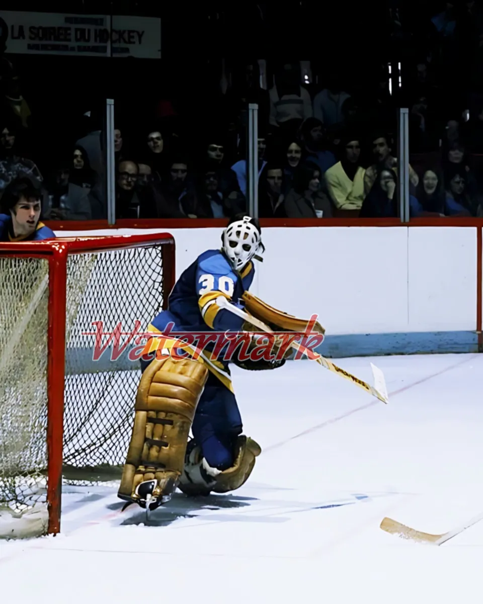 Nhl st louis blues goalie jacques plante game action color x photo picture