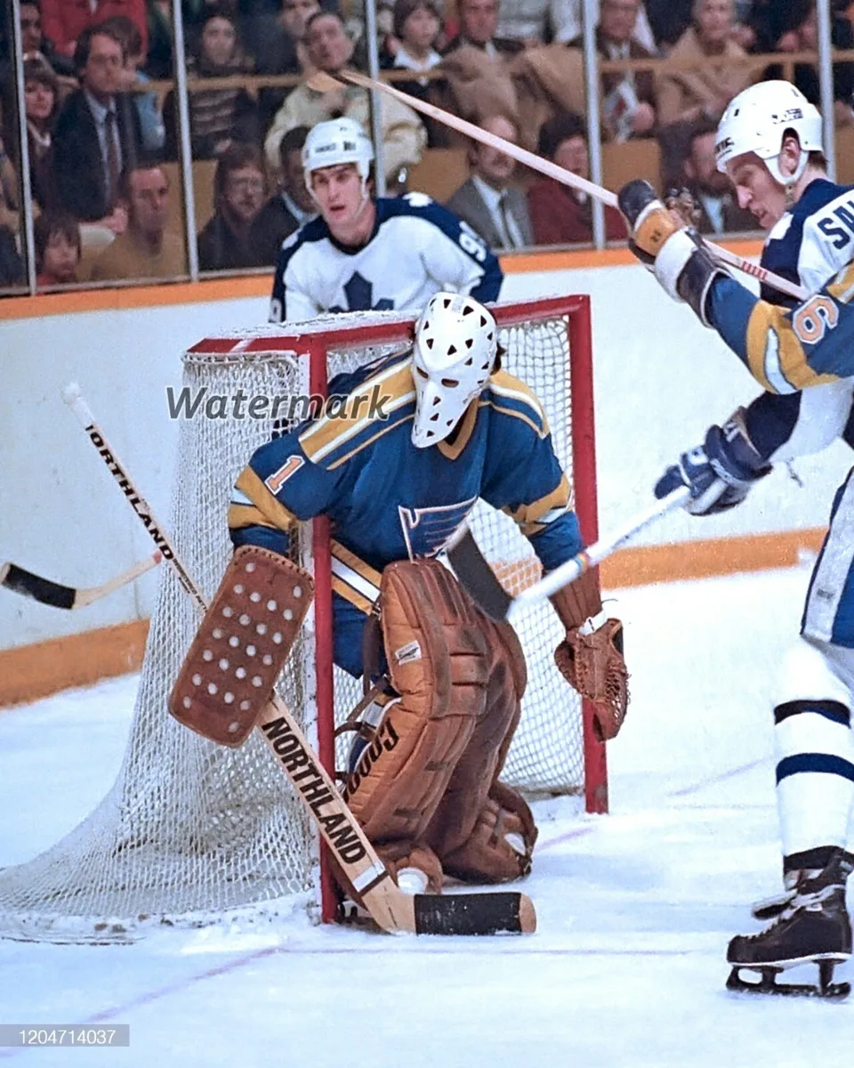 Nhl st louis blues goalie mike luit color game action x photo picture