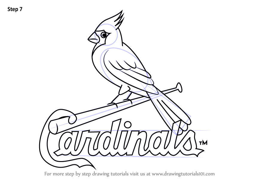 How to draw st louis cardinals logo mlb step by step