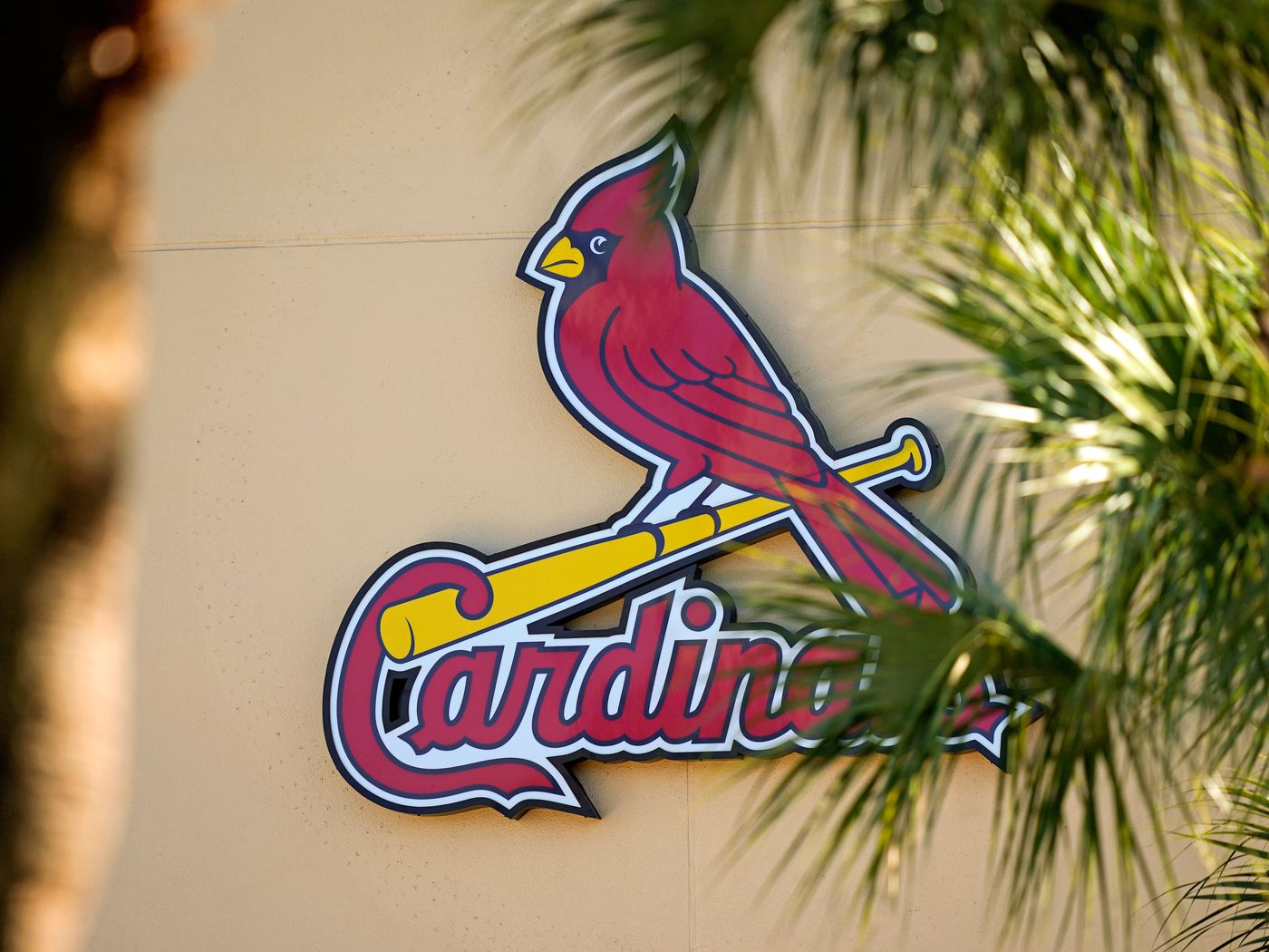 A history and ranking of the cardinals logo