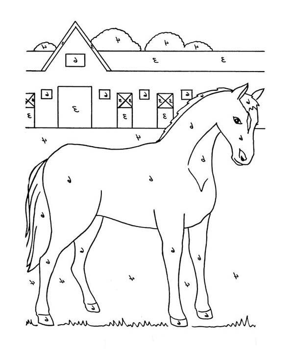 Stable full of horses coloring page horse coloring pages horse coloring coloring pages