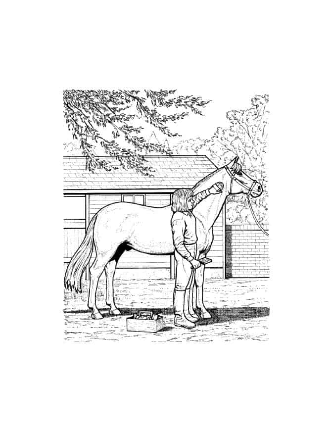 Your kids will love these horse coloring pages