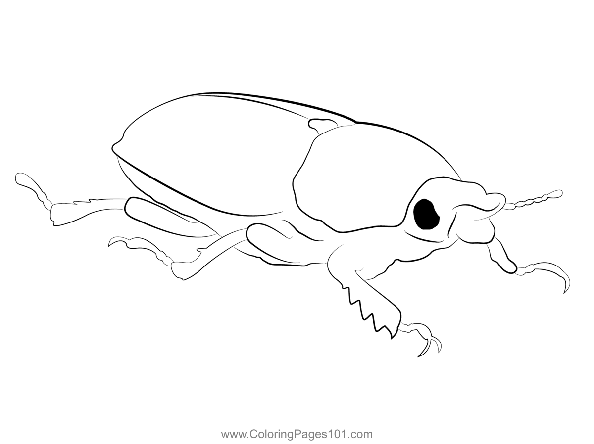 Female golden stag beetle coloring page stag beetle coloring pages coloring pages for kids