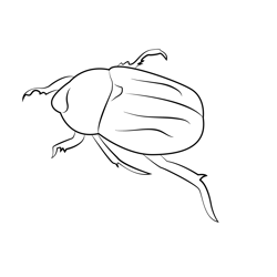 Stag beetle coloring page for kids