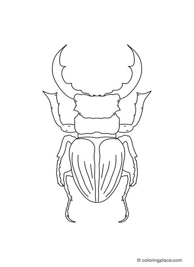 Stag beetle coloring place