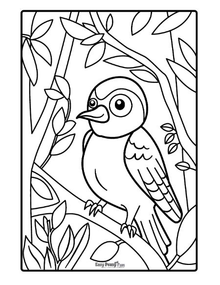 Printable bird coloring pages