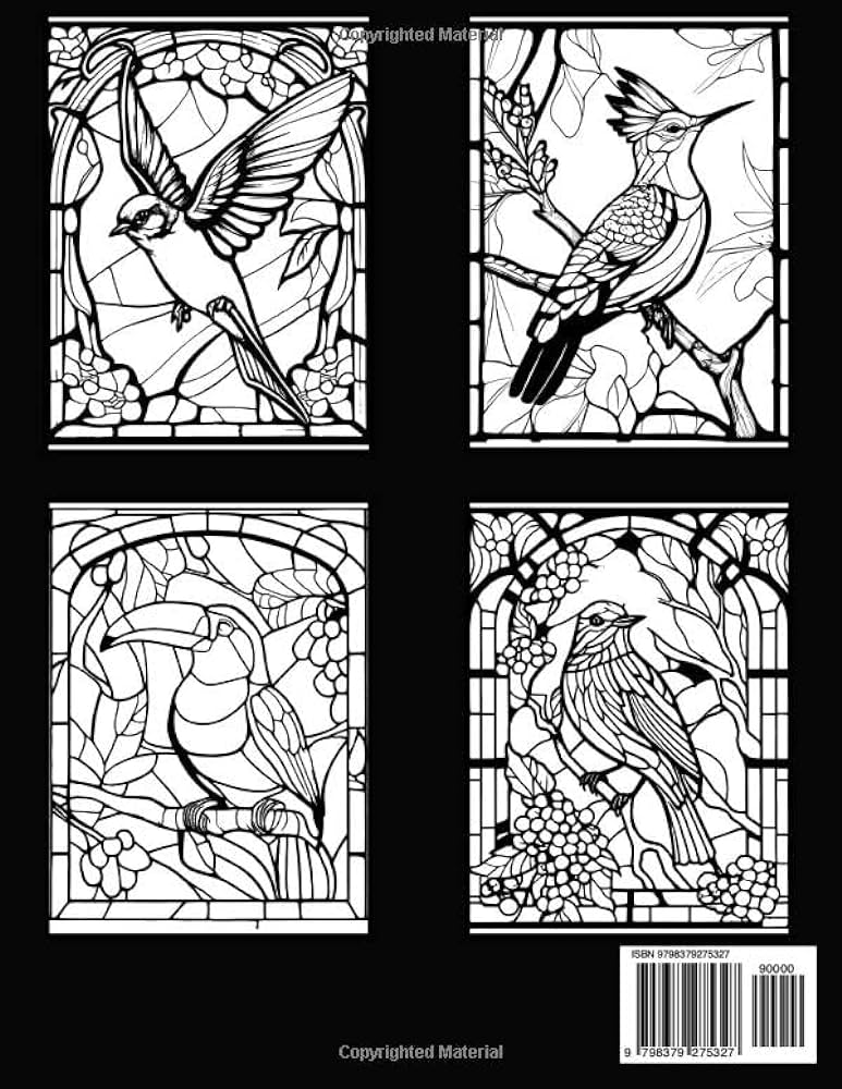 Stained glass birds coloring book stain glass birds windows patterns coloring book for adults relaxation stress relief hz press stained glass press books