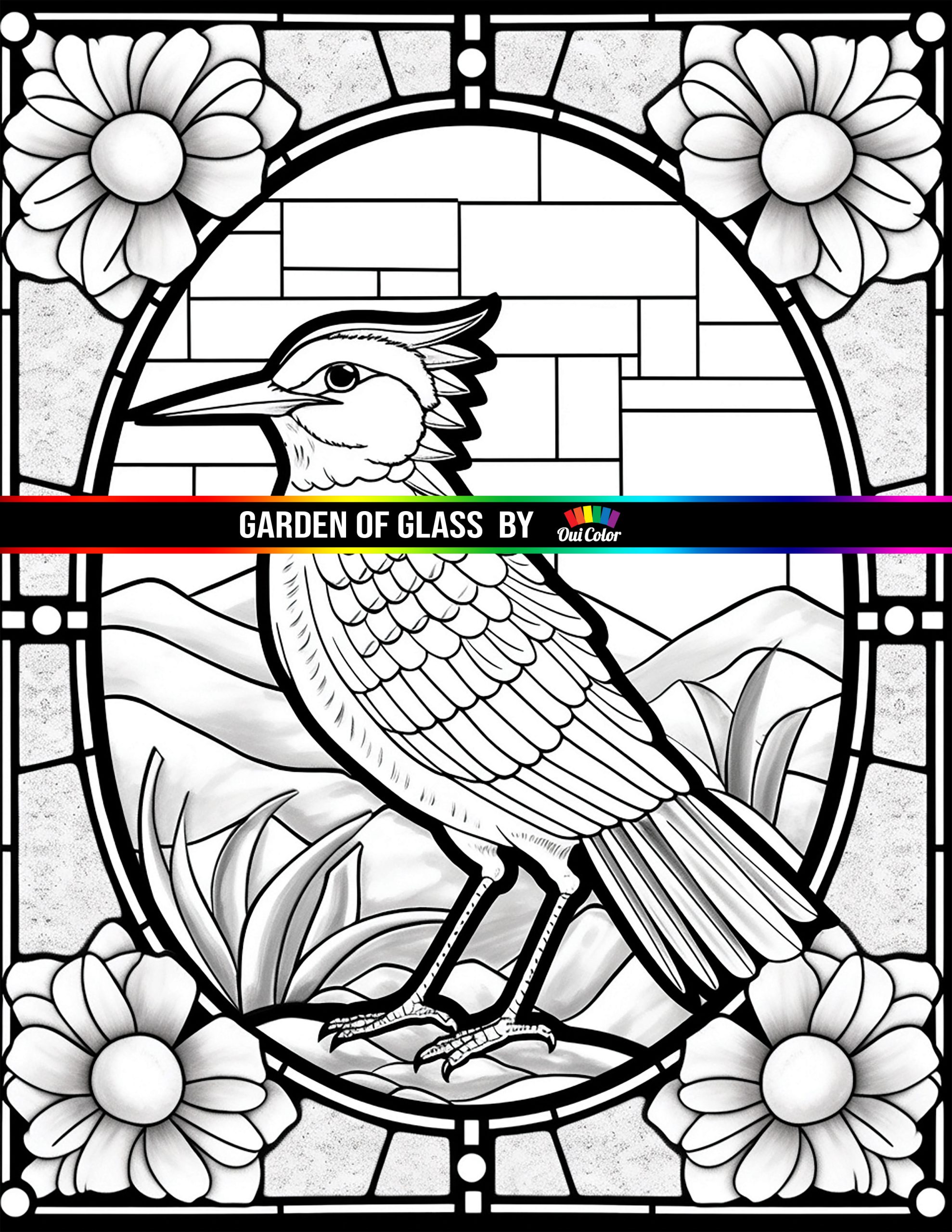 Garden of glass a whimsical coloring book of stained glass bird and flower mosaics nature series