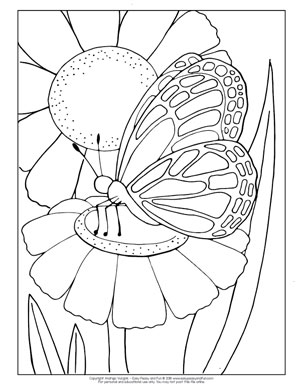 Butterfly coloring pages