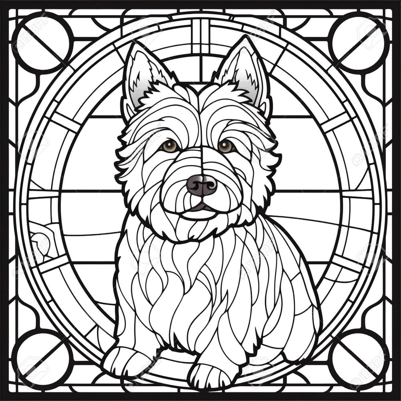 Stained glass dog coloring pages stock photo picture and royalty free image image